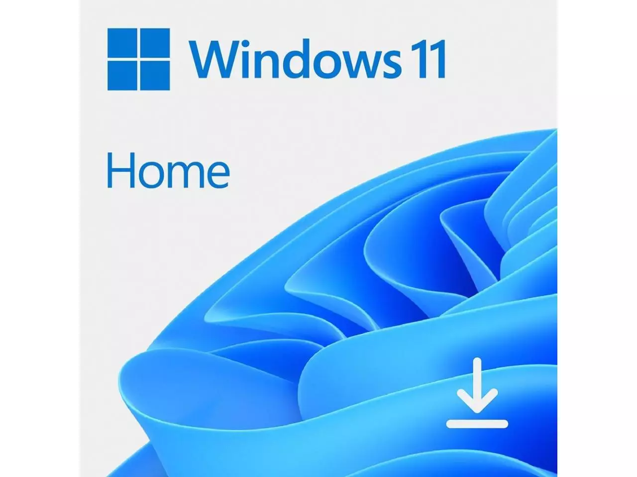 Microsoft Windows 11 Pro 32/64 Bits - Digital para Download - TORRE FORTE  SOLUTIONS