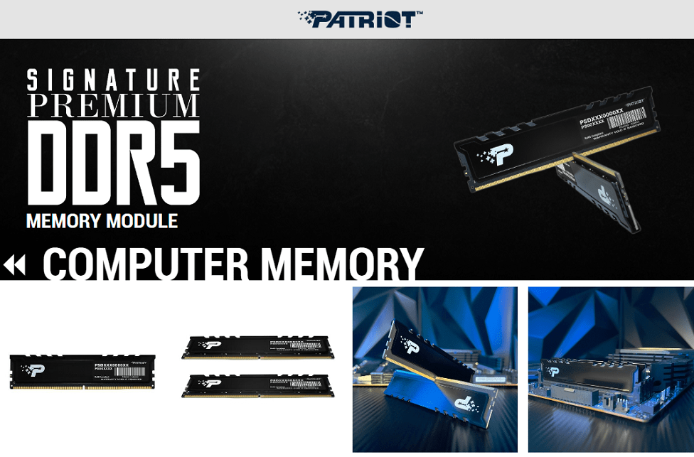 Memória Patriot Signature Premium 16GB DDR5 4800MHz PC5-38400